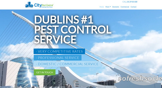 City Pest Control